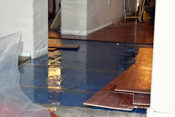 Professional Water Extraction technician working in Ecru, MS
